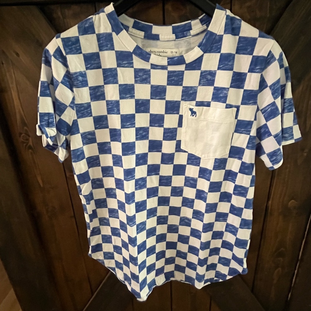 Abercrombie Kids Blue and White Checkered Tee